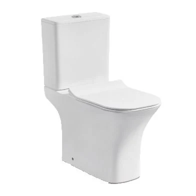 Sanitary Ware European Western P Trap Washdown Water Two Piece Toilet