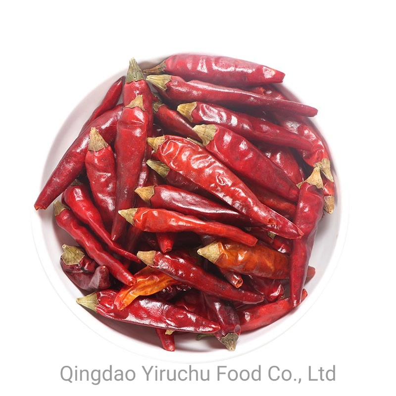 Direct Supply of Millet and Chili Peppers From Trustworthy Places in China