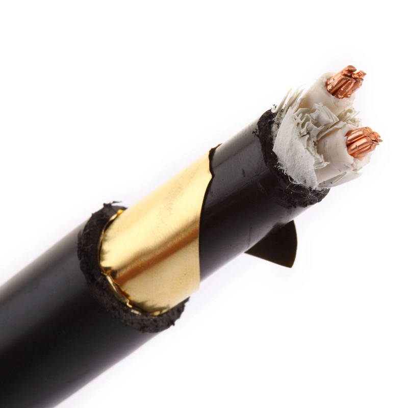 XLPE/PVC Insulation 2X50mm2 Aluminum Power Cable