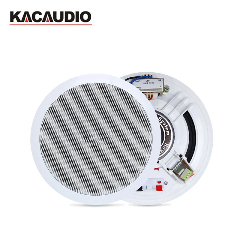 110-13000Hz Freq Resp Passive Ceiling Speaker with Carton Packed