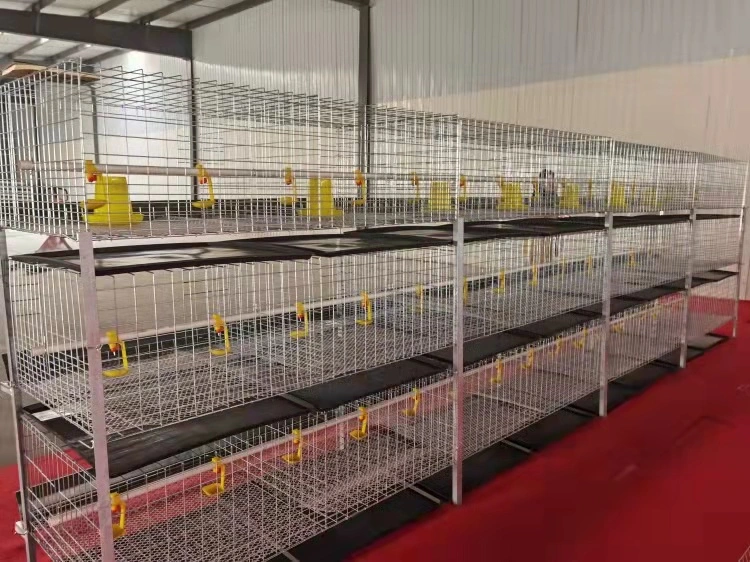 Super Verkauf Niedriger Preis Fabrik-Versorgungsmaterial Batterie Chicken Layer Cage Für Pakistan Farm