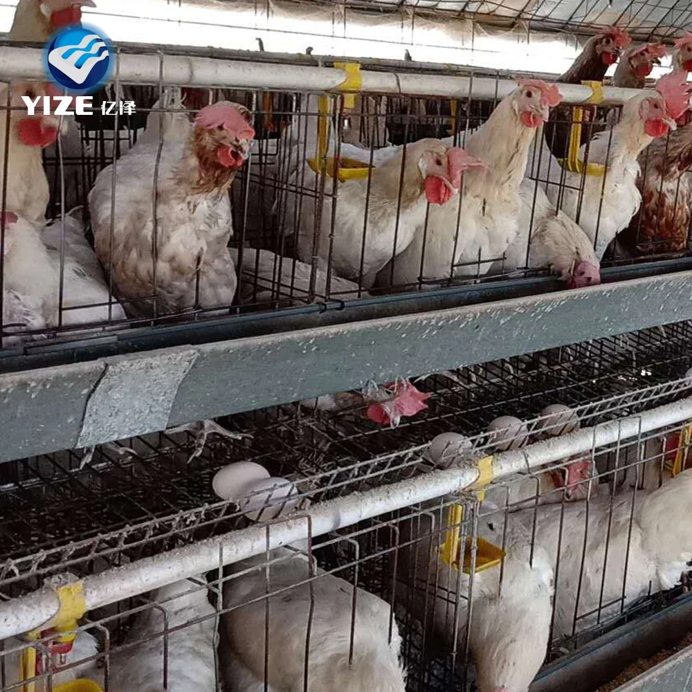 Capa de aves Granja jaula de pollo Single a Tipo caliente-sumergido Galvanizado Alimentador grande