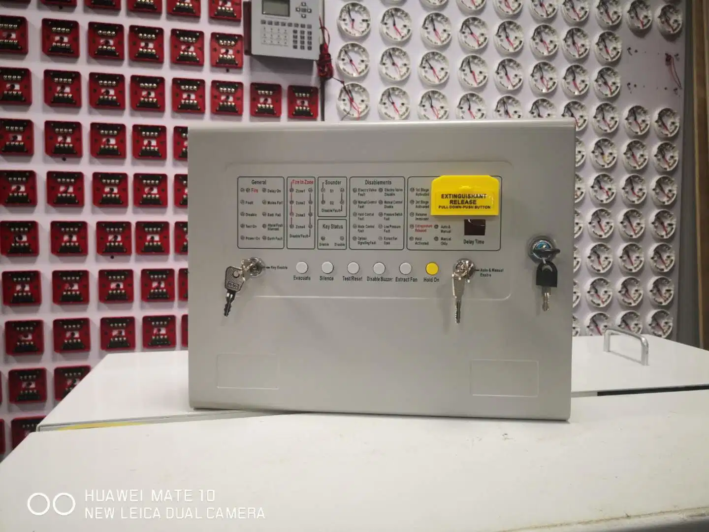 Fire Alarm System and Security Alarm System Extinguishant Control Panel