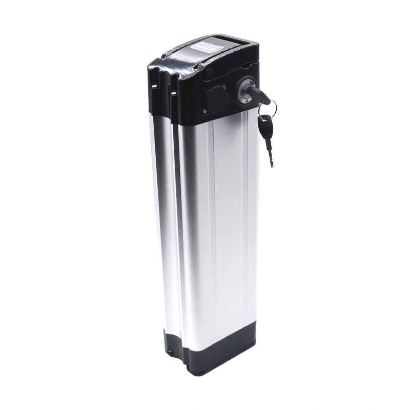 24V 36V 48V Motive Power Energy Storage Lithium Ion Battery for E Bicycle Scooters
