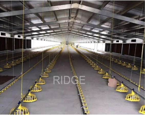 Modern Steel Construction Chicken Duck Poultry Machinery Automatic Feeding System Farm House