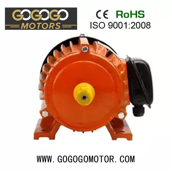 Bobina de cobre de hierro fundido Premium de alta eficiencia de la cena eficiente asíncrono trifásico de inducción AC Motor eléctrico motor de China fabrica