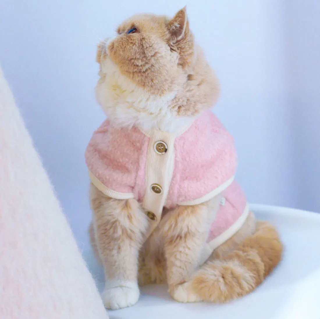 Katze Mode Strickjacke Winter Warme Haustier Kleidung