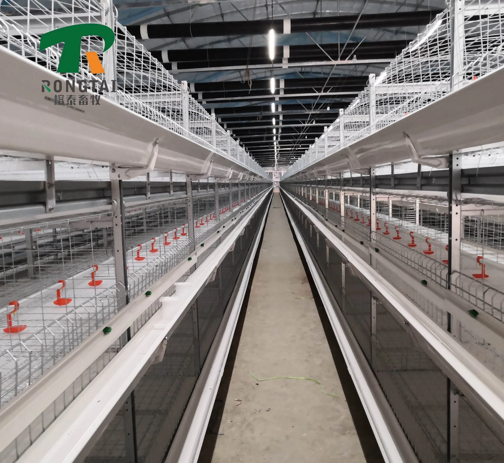 Design Moderne Automatische Geflügel Landwirtschaft Ausrüstung Verzinkter Huhn Batterie Cage Für Layer Hen Broiler Coop