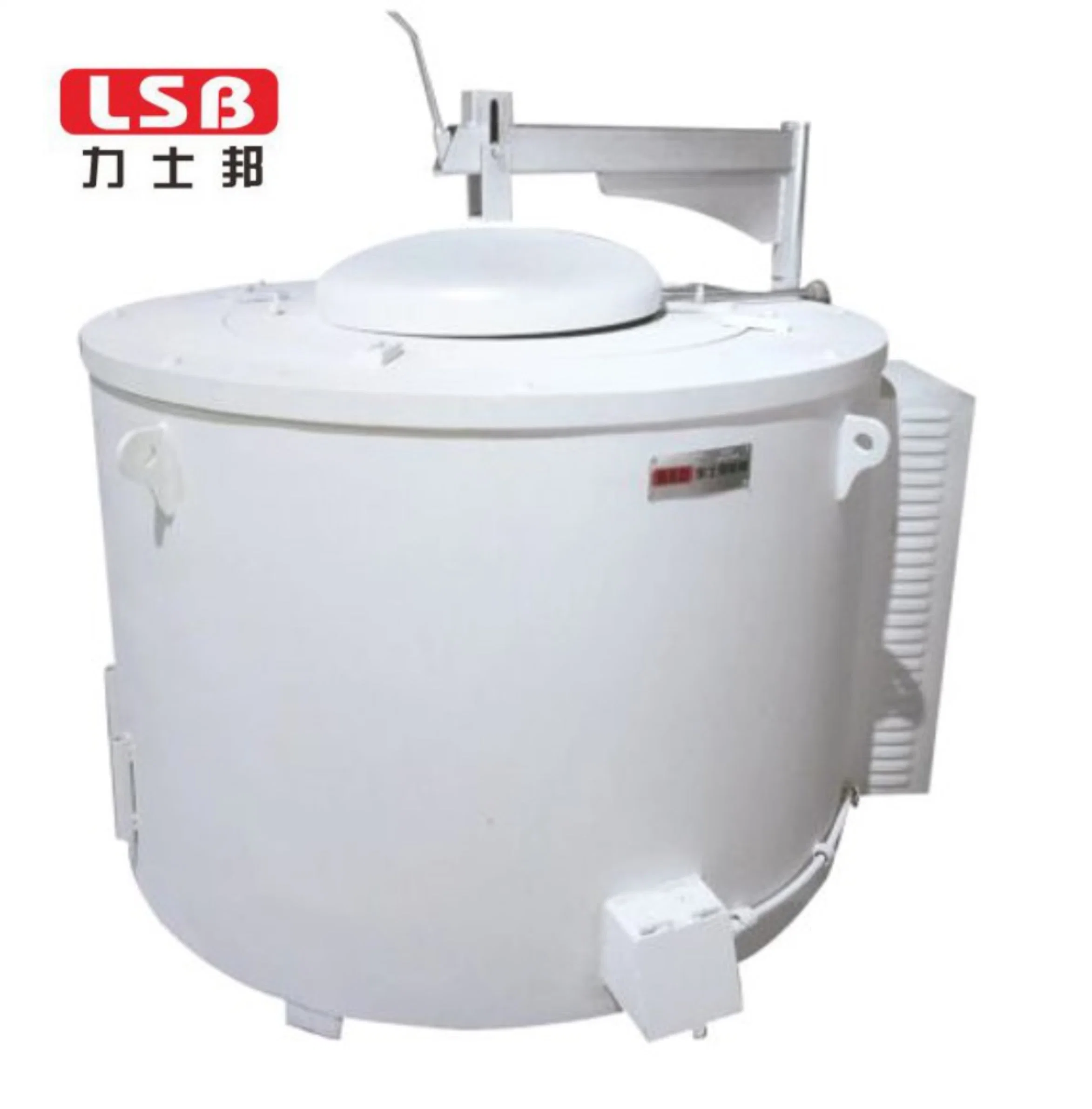 Bsd D-Type Resistance Crucible High Performance Melting and Holding Furnace for Melting Metal