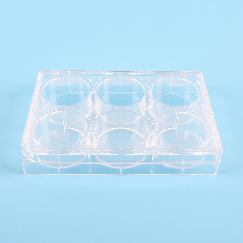 Factory Outlets Lab Disposables Servicebio Pure Sterilized Sterile Stackable Cell Culture Plate