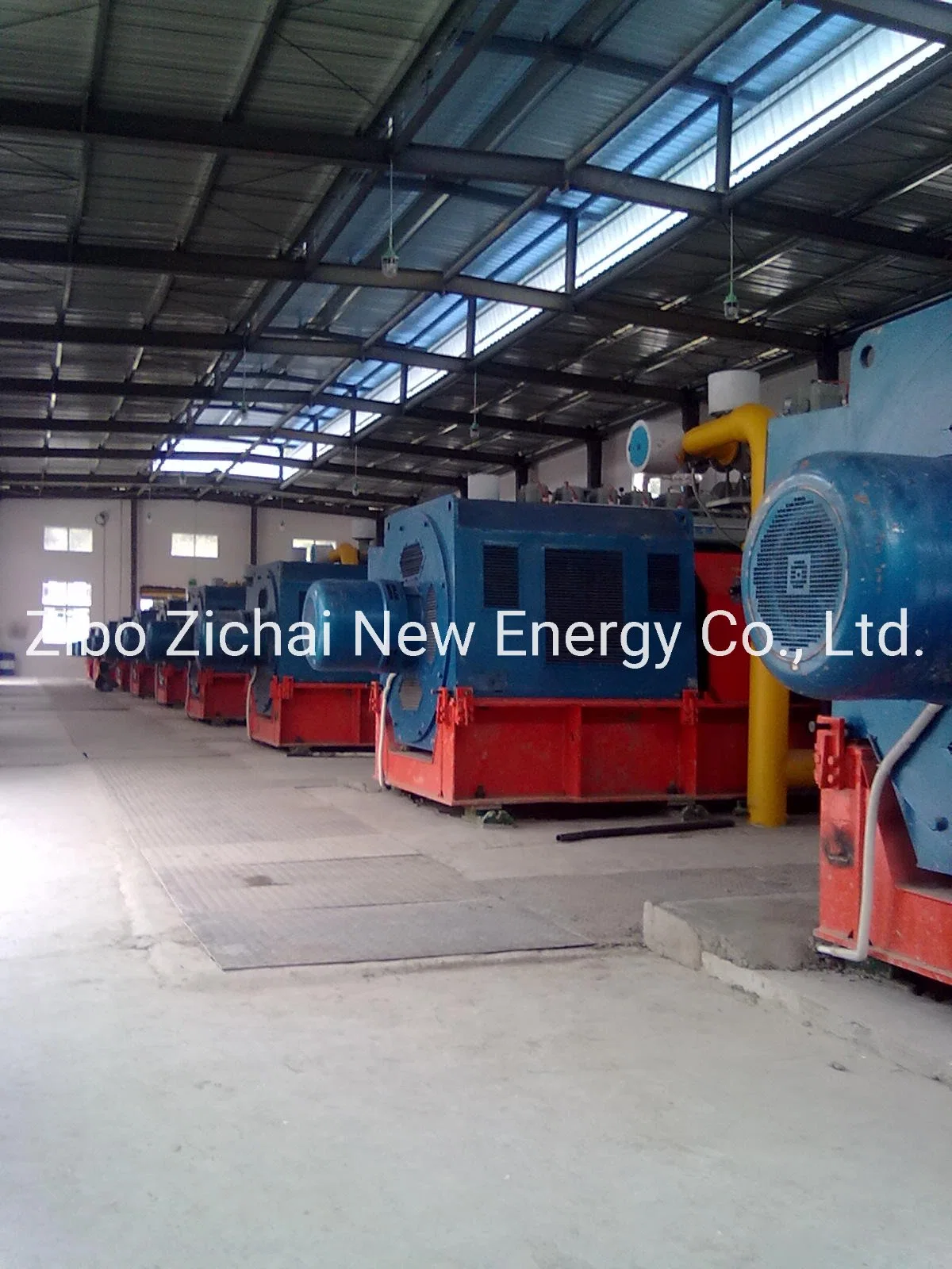 Small Scale Biomass Circulating Fluidized Bed Gasifier Power Generator