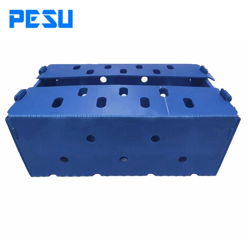 Coroplast Plastic Tray Coroplast Box PP Corrugated Box