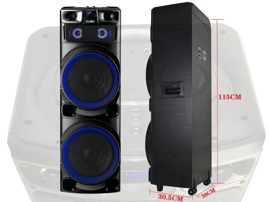 Super Power de Madeira Temeisheng Dual Tweeter de 12 polegadas de 100 W RMS Coluna portátil sem fios recarregável de caixa áudio grande Bluetooth