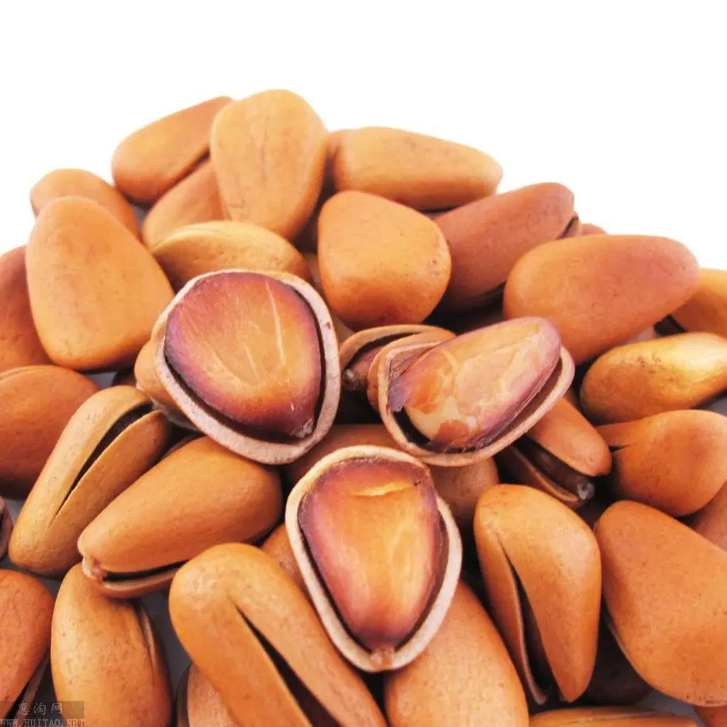 الجملة 100 Pure Natural مفتوح Pine Nut Roasted Nut الوجبات الخفيفة صنوبر في شل