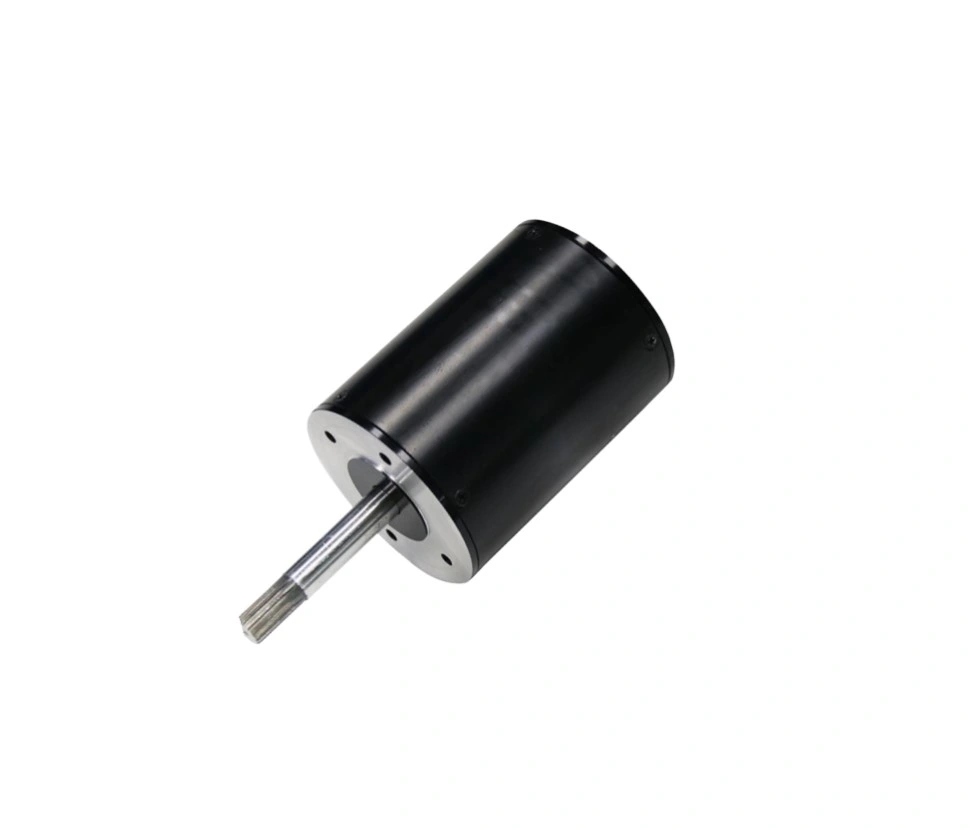 220V DC BLDC Brushless 800&plusmn; 5%Rpm BLDC Electric Motor