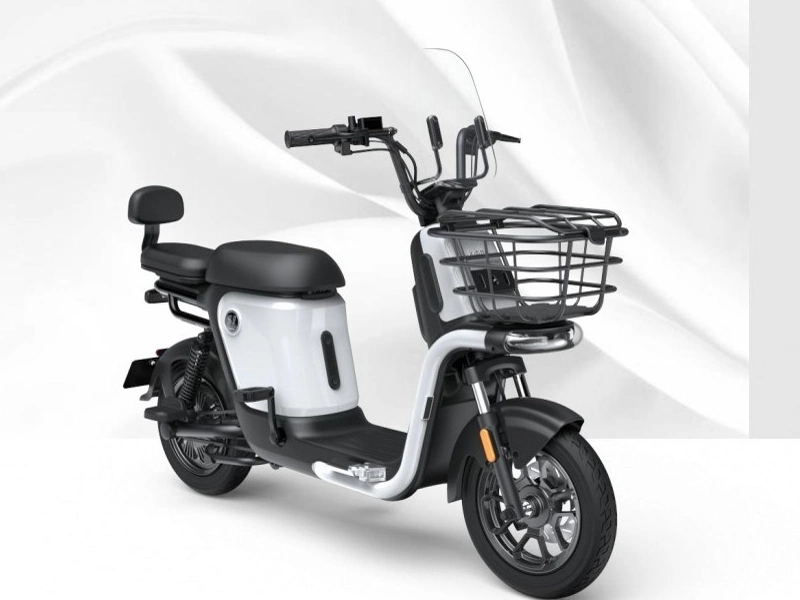 S1 Electric Bike with CE Approval with Pedal Assistance