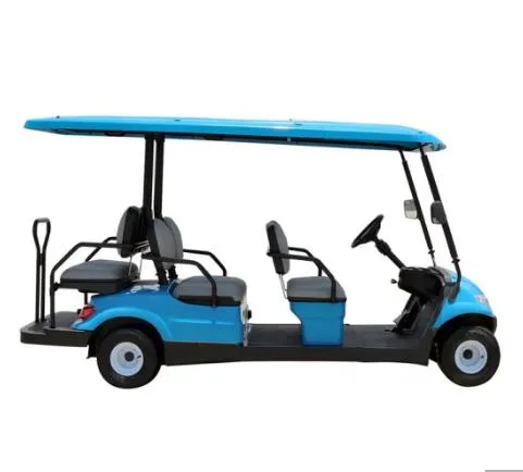 Small 6 Person Electric Golf Buggy European Electric Go Kart for Sale