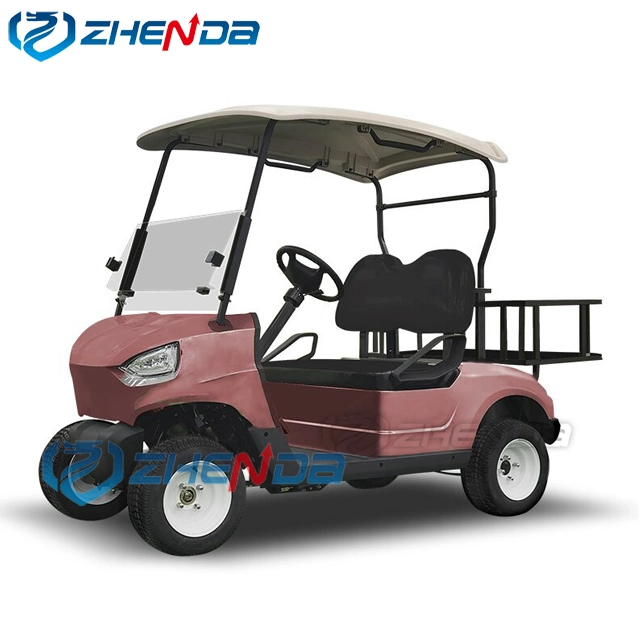 Factory Direct Sell Signal 2 Seats Mini Club Cart Lithium Battery Golf Buggy Gas Powered Golf Car Cart