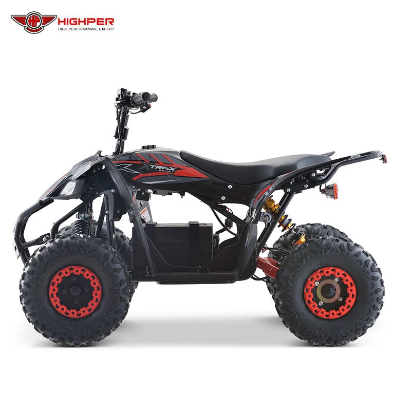 Entraînement par arbre 750 W 1 200 W, Quad Bike électrique à quatre roues, VTT