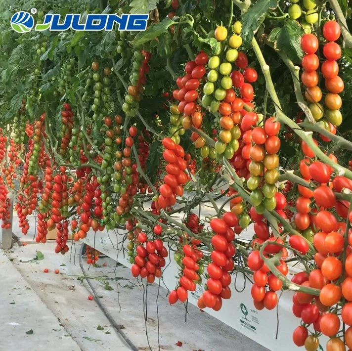 Factory Price Agriculture Po Film Multi Span Greenhouse with High quality/High cost performance Hydroponics Growing System