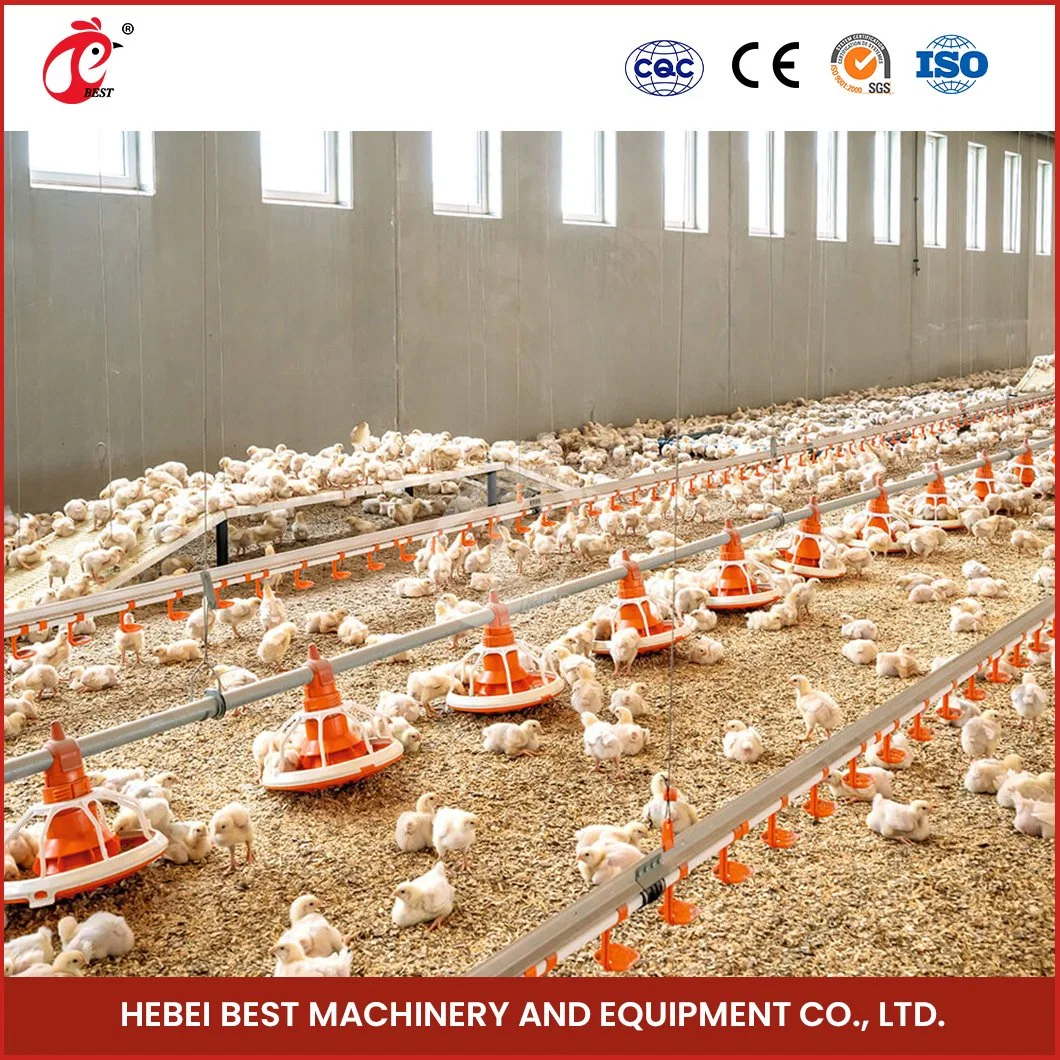 Bestchickencage Broiler profunda del sistema personalizado de la camada de ODM China Nuevo Material PP profunda la cría de la Camada la fabricación del sistema