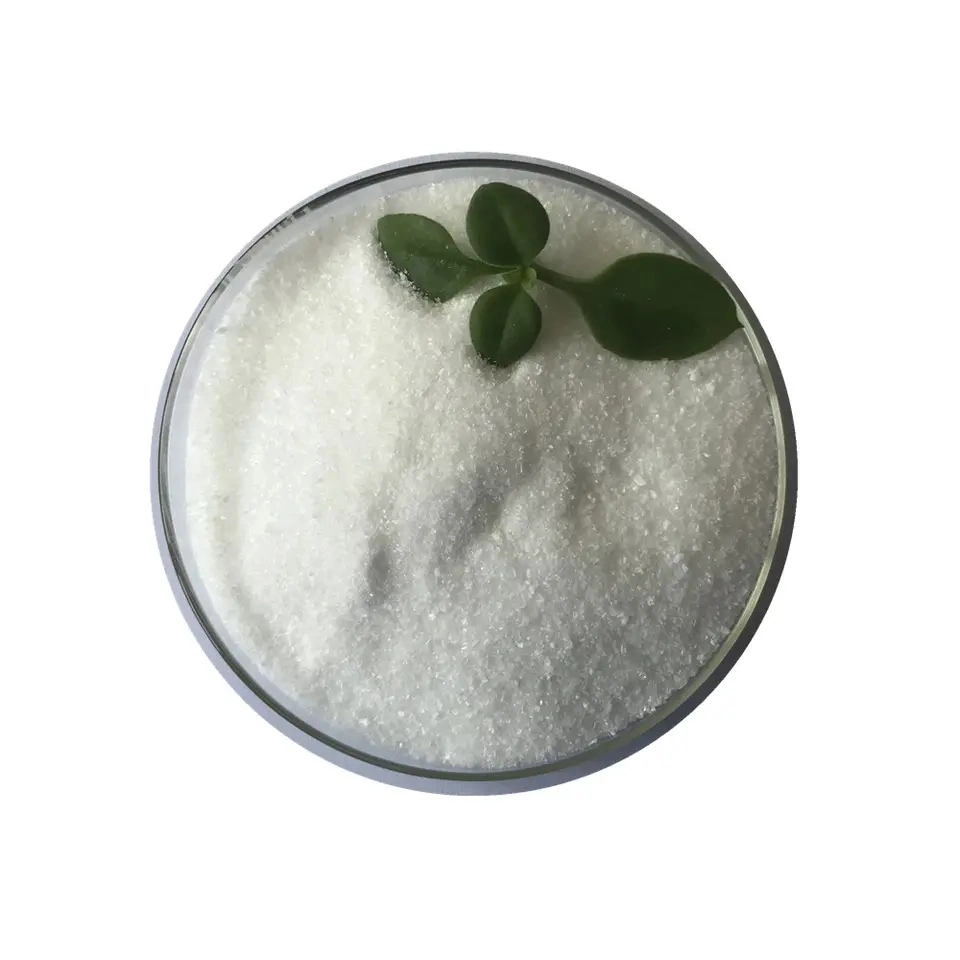 CAS 527-07-1 Sodium Gluconate Price Industrial Grade Gluconic Acid