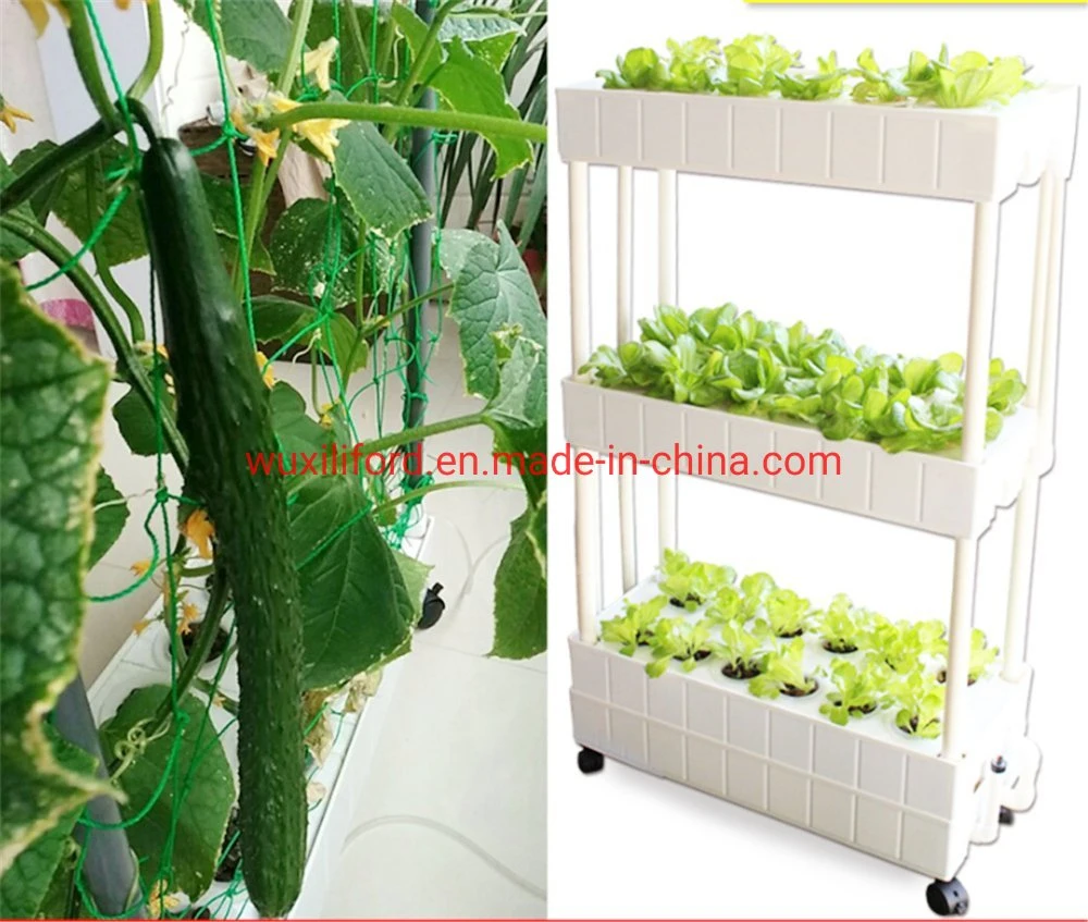 Home Vertical Planting Hydroponics Greenhouse for Vegetable Cucumber Tomato Lecttue