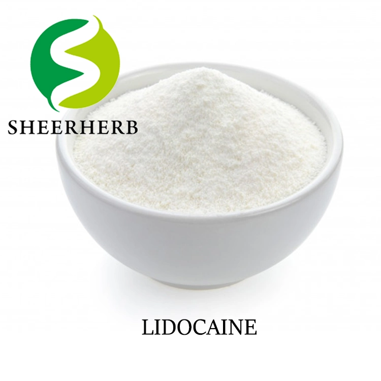 Cheap Lidocaine Powder Wholesale/Supplier Bulk Lidocaine Powder CAS 137-58-6 Lidocaine