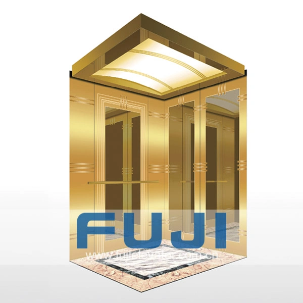 FUJI Gold Mirror Etching Cost Price House Passenger Lift Made in China