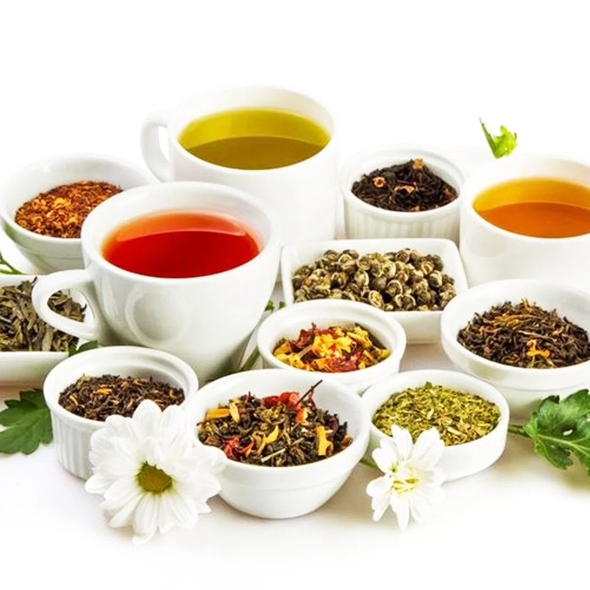 Assure la santé des vaisseaux sanguins du cholestérol Herbal Tea