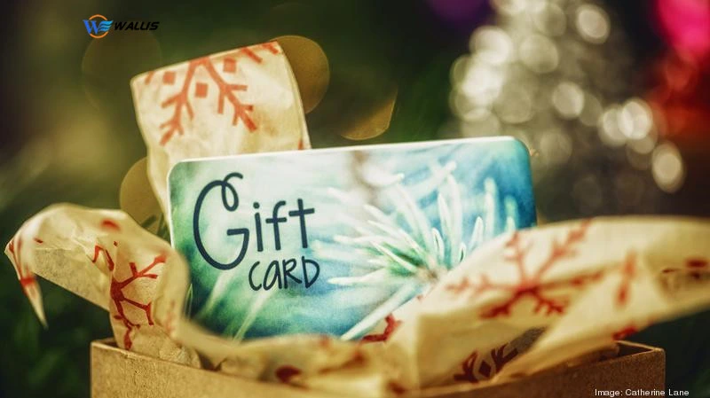 Custom Logo Preprinted VIP PVC Discount Shopping RFID Gift Blank Card