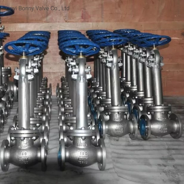 Stainless Steel Cryogenic Globe Valve Extended Stem with Flanged Ends for Industrial Low-Temperature Gas