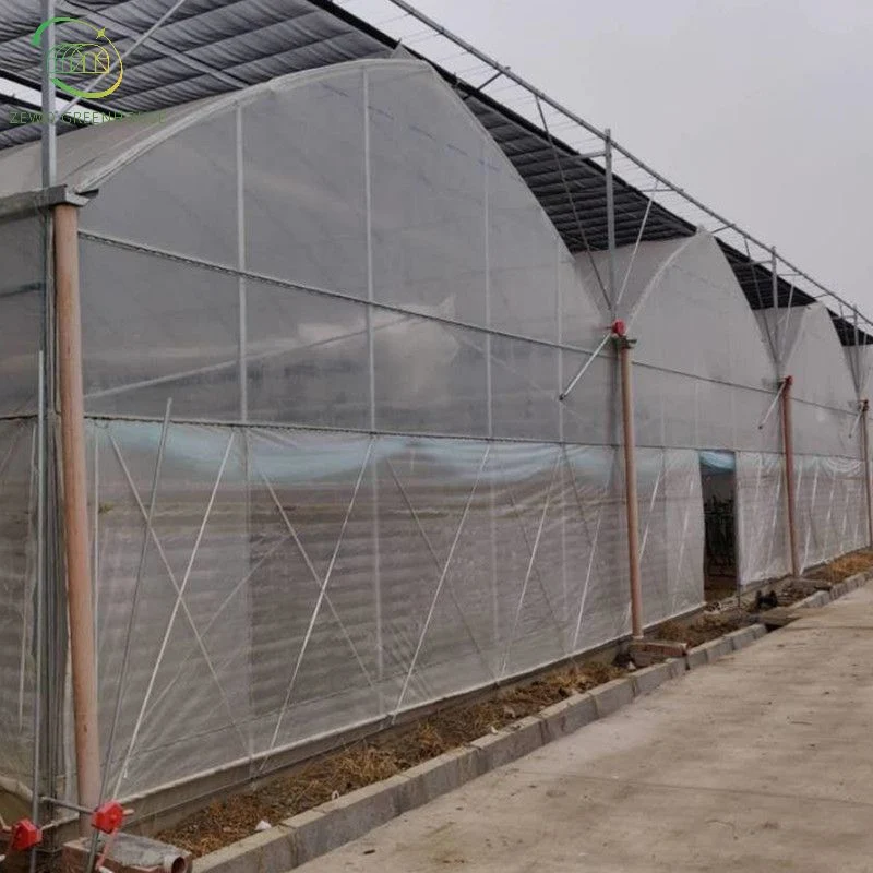 Agricultural Multi Span Tunnel Greenhouses with Hydroponic System and Automatic Irrigation System for Tomato/Cucumber/Lettuce/Pepper Planting