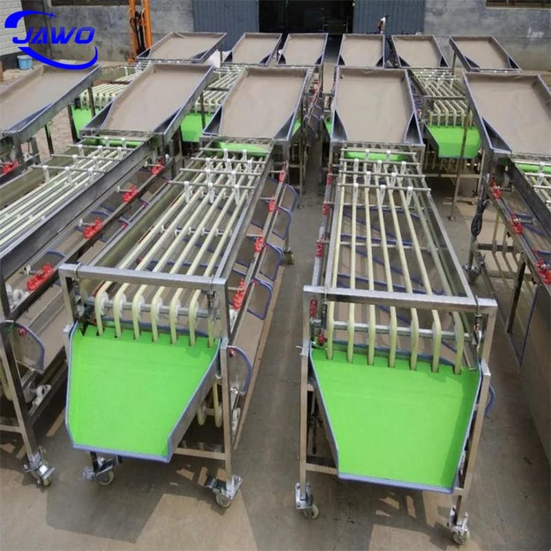 Best Selling Blueberry Grading Machine Fruit Grader Machine with Good Quality