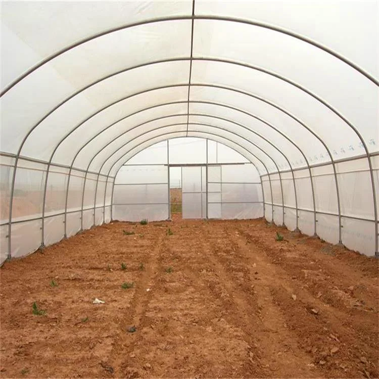 Hot Sale Single Span Poly Tunnel Film Greenhouse Sunlight Hydroponics Green Houses for Lettuce/Tomato/Cucumber/Pepper/Flowers/Fruit/Eggplant/Vegetables/Mushroom