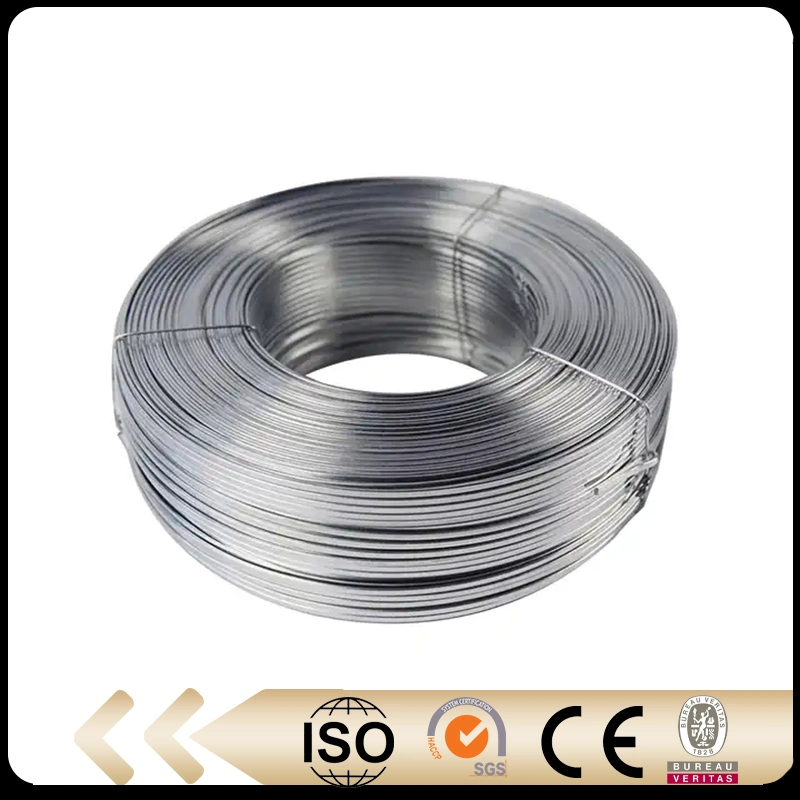 Hot Dipped/Electric Galvanized Mild Steel Binding Wire/Black Annealed Rebar Iron Wire 16 Gauge Stainless Steel Spool for Construction/Building Material