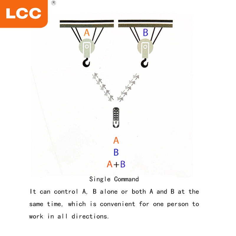 Q600 (A+B) Lcc Manufacturers Universal Transmitter Receiver Hydraulic Crane Radio Wireless Remote Control