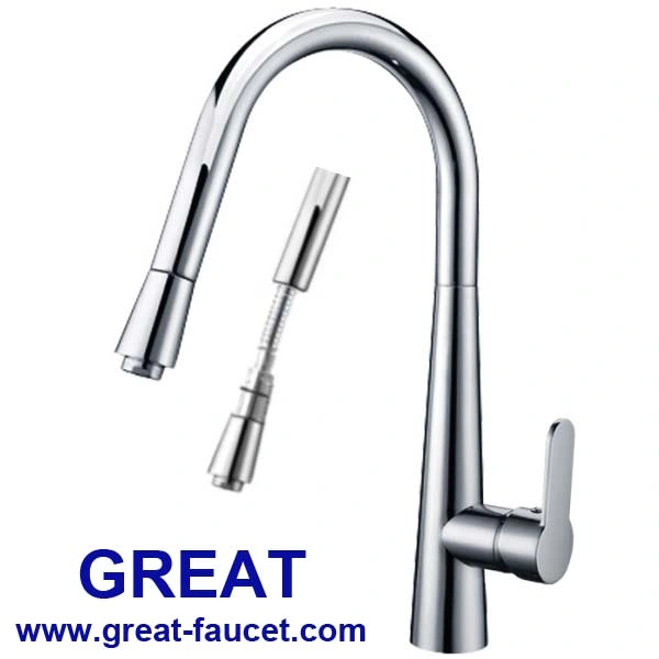 Popular European Style Brass Kitchen Faucet Sink Faucet (GL2139A43)