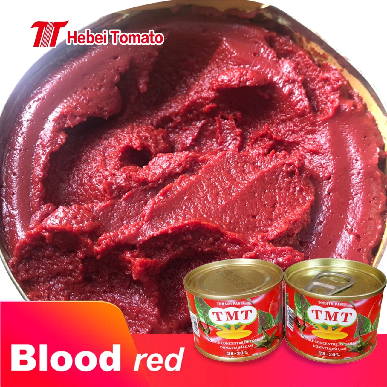 2200g Canned Tomato Paste with Delicious Taste From Icrc Supplier