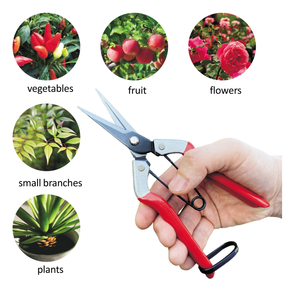 Long Straight Needle Nose Flower Gardening Shears Hand Pruner Floral Secateurs Pruning Scissors Horticultural Tools