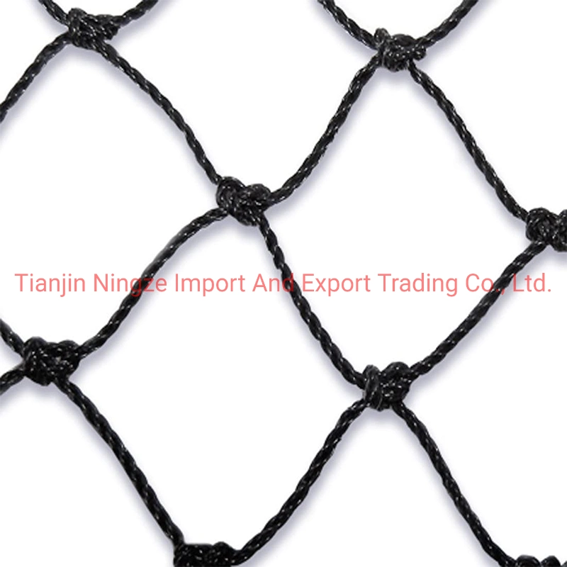 Anti Bird Protection Net 100% Virgin HDPE White Anti Bird Net Garden Net Fruit Trees Factory High Quality