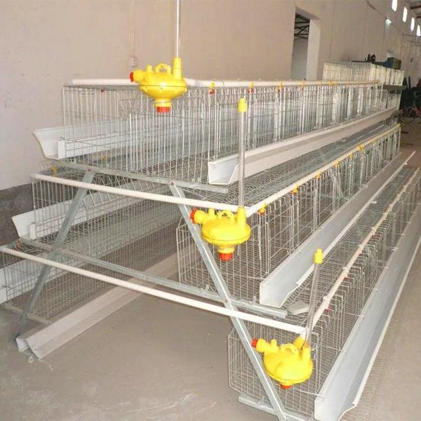 prix d'usine équipement automatisé un style Cage/Machine ferme avicole de poulet à la Chambre d'alimentation