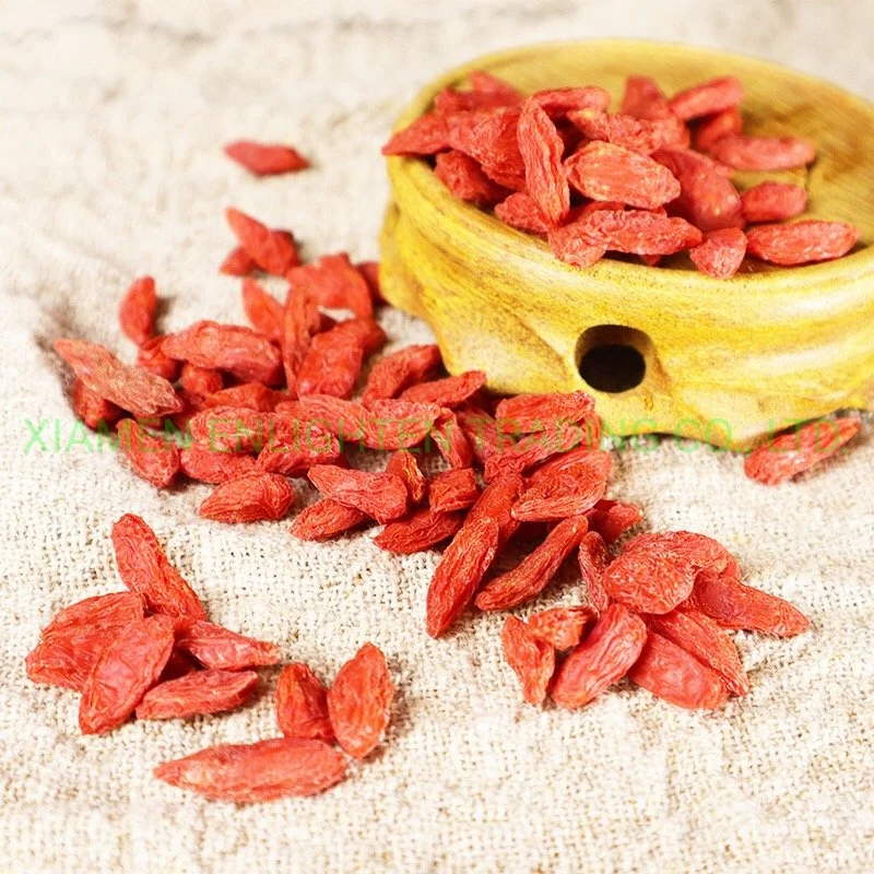 China/Chinesisch Delicious Red Medlar Wolfberry Goji Slim Tee