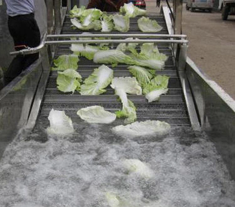 Las frutas y hortalizas de surf de burbujas de aire Lavadora