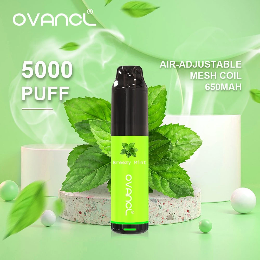 Оригинальная конструкция Ovancl E к прикуривателю 5000 Puffs Vape аккумулятор испаритель воздуха регулируется одноразовые E Vape Ciga бесплатный стартовый набор перьев