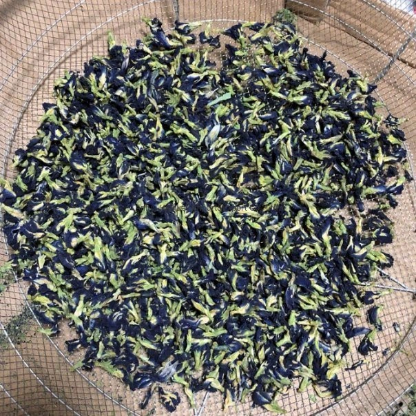 Herbal Tea Natural Food Additive Die Dou Hua Butterfly Pea Flower Tea