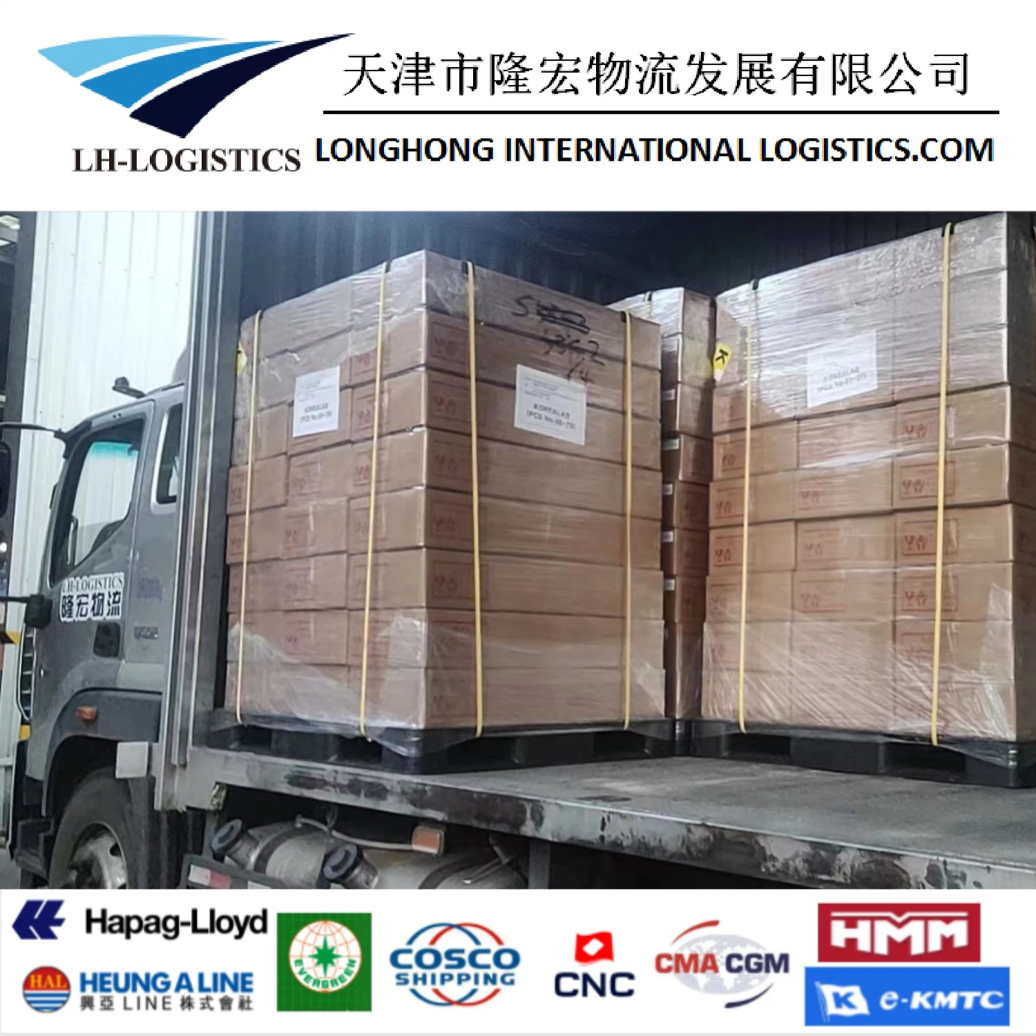 Seefracht Trasportierung Shipping Service von China nach Südafrika, Kapstadt, Durban, East London, Johannesburg