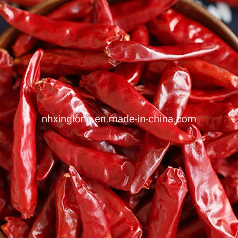 Hot Sale Dry Red Chilli Importers FDA