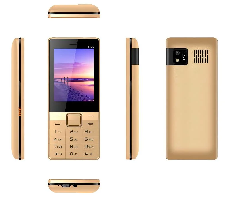 2022 Neues Produkt 2,8 Zoll Super Big Screen mit Blitz Light 2g GSM Mobiltelefon Support OEM ODM Bar Funktion Telefon