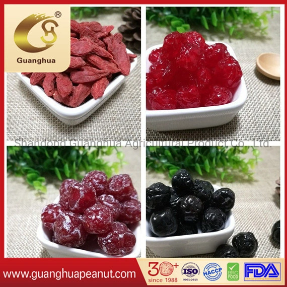 Hot Sale Dried Plums Dried Blueberry /Rose Berry /Cherry